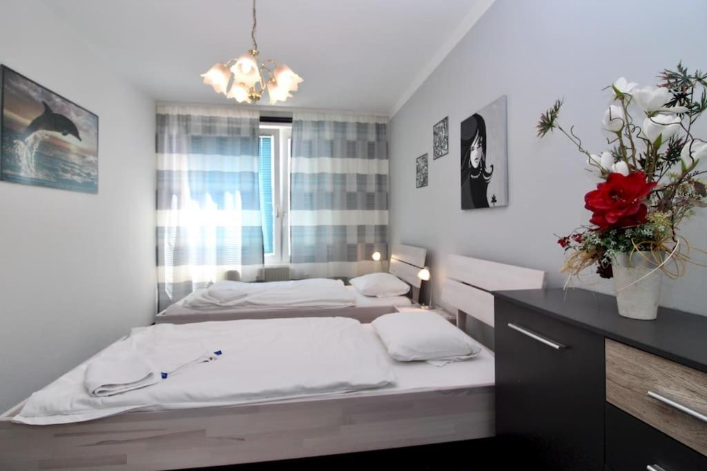 Cozy Apartment Free Parking 维也纳 外观 照片